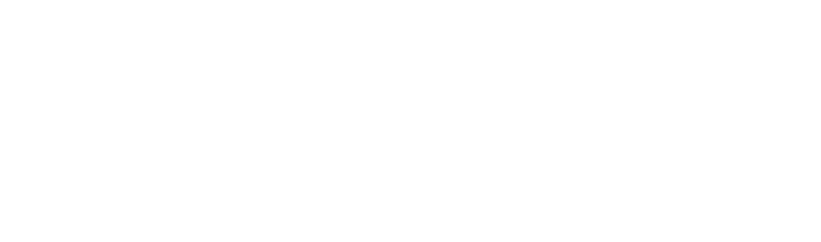 三鸟科技 SANNIAO TECHNOLOGY